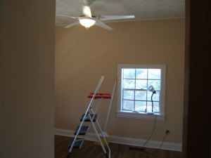 andhollisaid profile photo