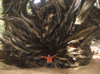 smulkowski profile photo