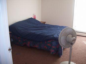 smarxen531 profile photo