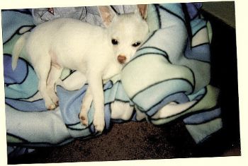 prplgrl profile photo