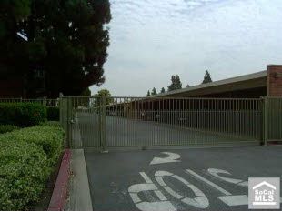 chickis007 profile photo