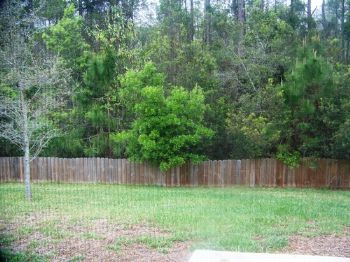 sostefiyawho profile photo