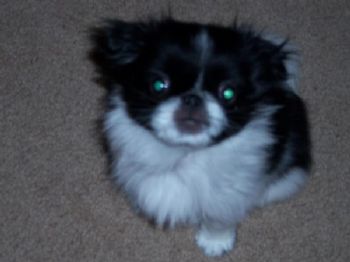 tanjia profile photo