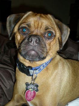 blondie27 profile photo