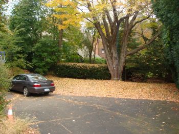 dave11to47 profile photo