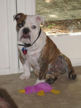 erin1013 profile photo