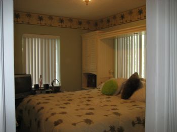 losaccot profile photo