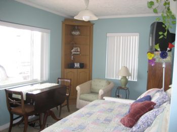 losaccot profile photo