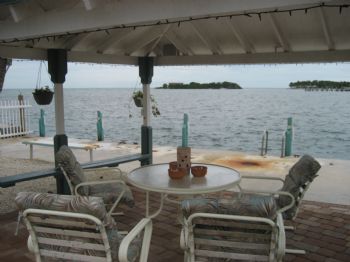 losaccot profile photo