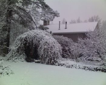 larryrolson profile photo