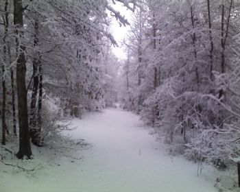 larryrolson profile photo