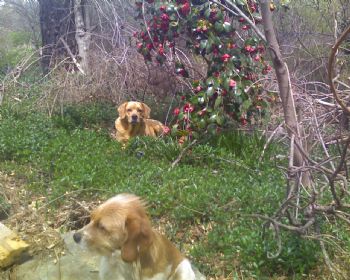 larryrolson profile photo