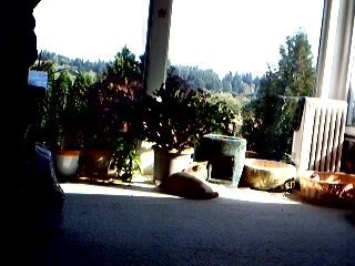 kirklandluda profile photo