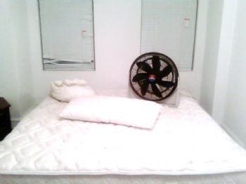 James0209 profile photo