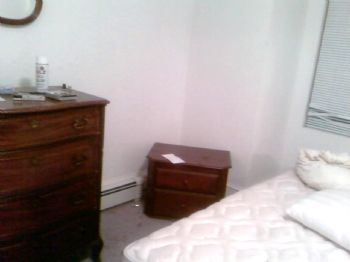 James0209 profile photo