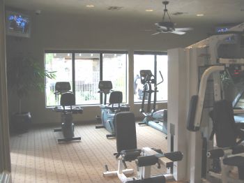 meskeetdog profile photo