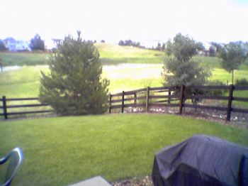 teddenver profile photo