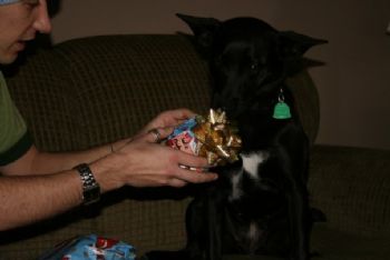 brianklaybor profile photo