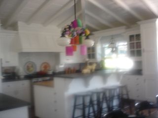 mermaid1 profile photo