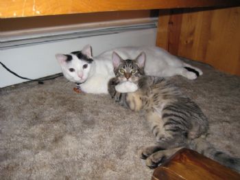 cmcook profile photo