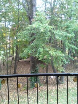 belair21014 profile photo