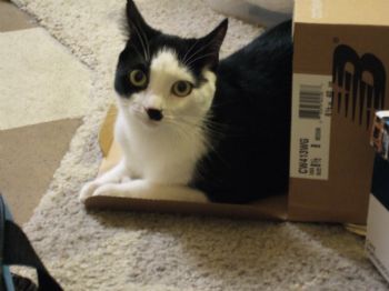 Morganstar12 profile photo