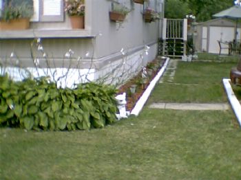 ks5408 profile photo