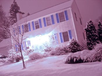 shedward profile photo