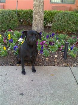 chuck32810 profile photo