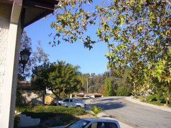 pirategina profile photo