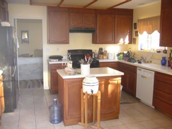 pirategina profile photo