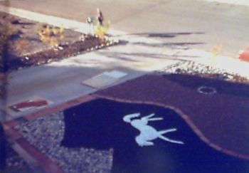 Jetadya profile photo