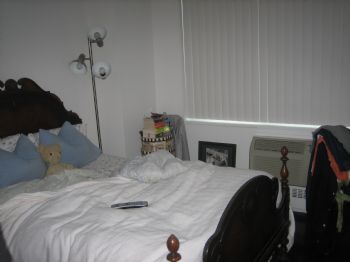 LJScarlet profile photo