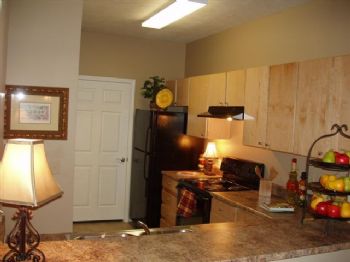 heidi1020 profile photo