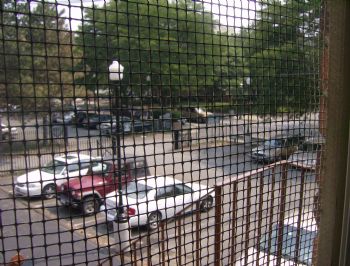 capazt profile photo