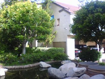 zamt69a profile photo