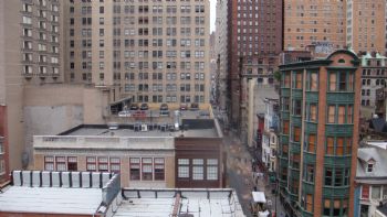 hockeyllama profile photo