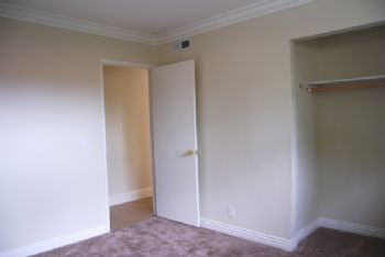 dmocrsi profile photo