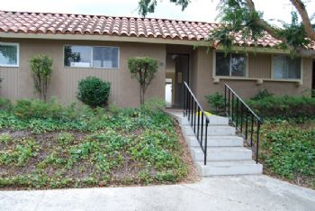 dmocrsi profile photo