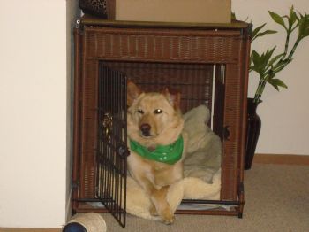 IrishLuck profile photo