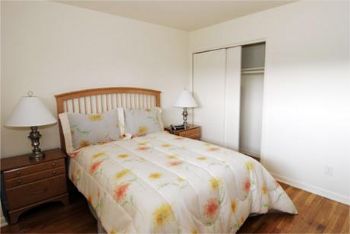 9094880 profile photo