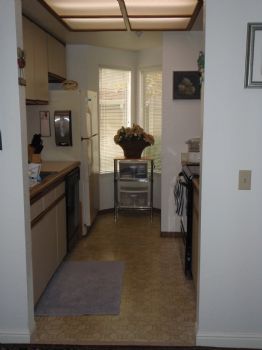 MorrisAngell profile photo