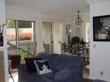 MorrisAngell profile photo