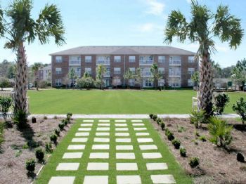 fidliz profile photo