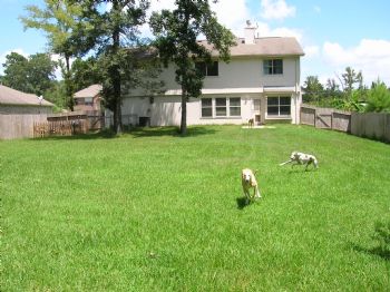 rk31399 profile photo