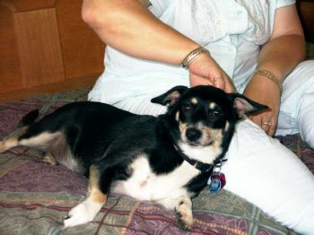 hotmknight profile photo