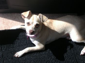 hotmknight profile photo