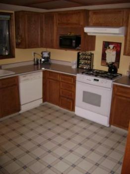 aligirl24 profile photo