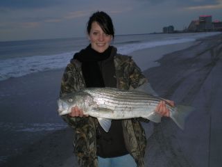 niciwild profile photo