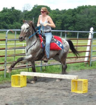 niciwild profile photo